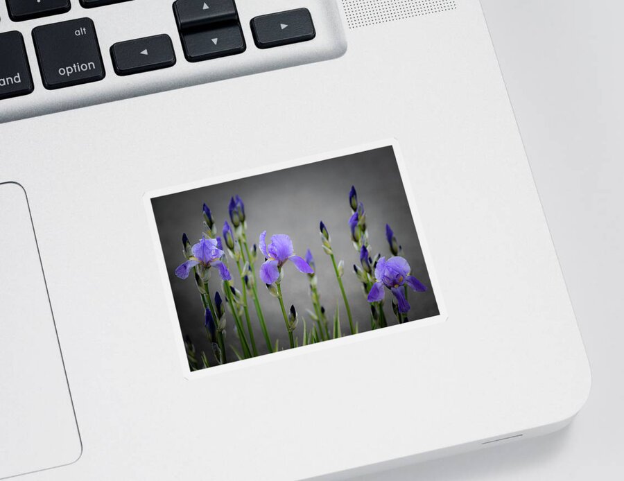 Flower Sticker featuring the photograph Purple Irises by Len Bomba