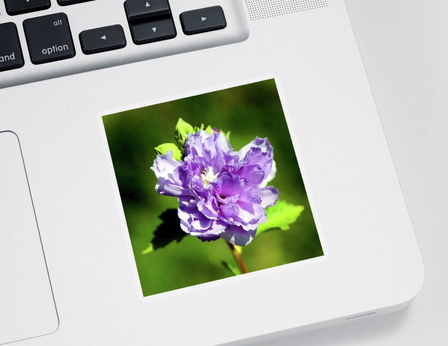 Flower Sticker featuring the photograph Purple on Green by John Lautermilch