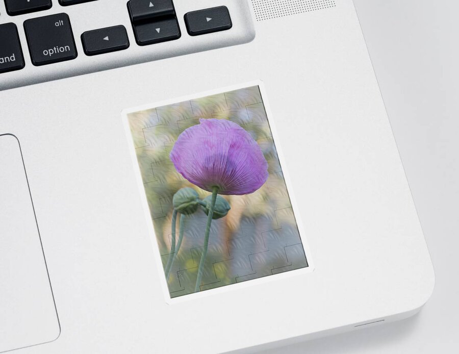 Flowers Sticker featuring the photograph Purple Poppy by Elaine Teague