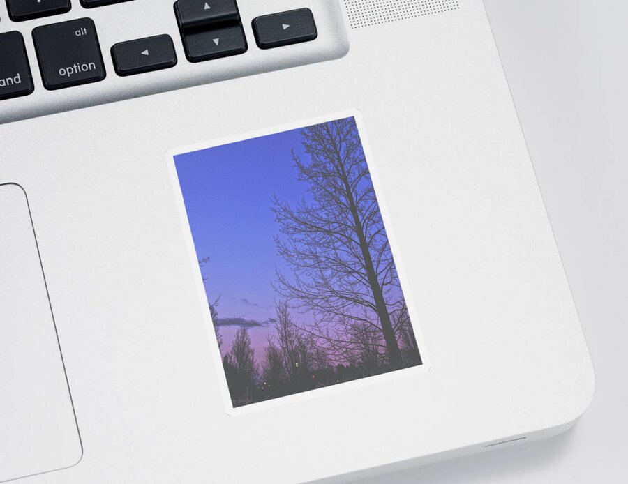 Trees Sticker featuring the photograph Purple Twilight by Lisa Pearlman