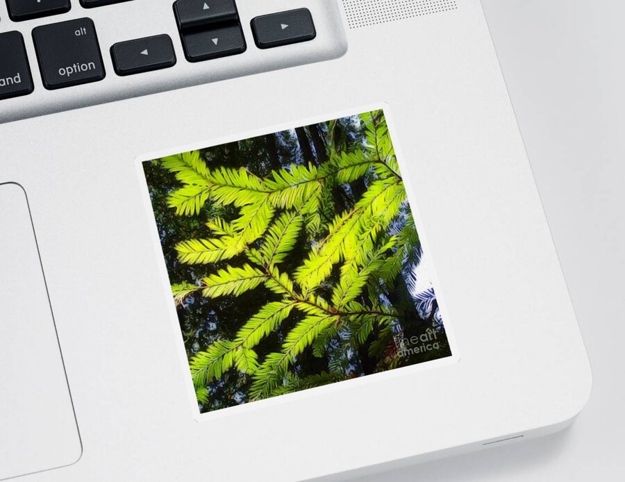 Tree Sticker featuring the digital art Quiet Tree by Wendy Golden