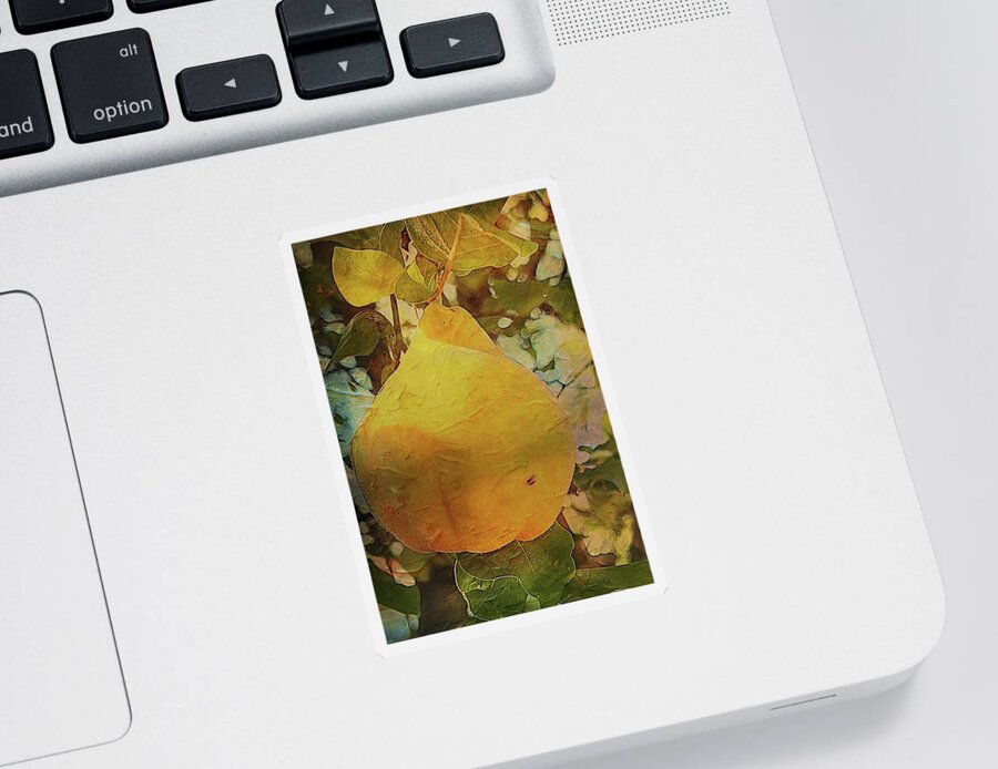 Cydonia Oblonga Sticker featuring the photograph Quince Cydonia oblonga by Mary Lee Dereske