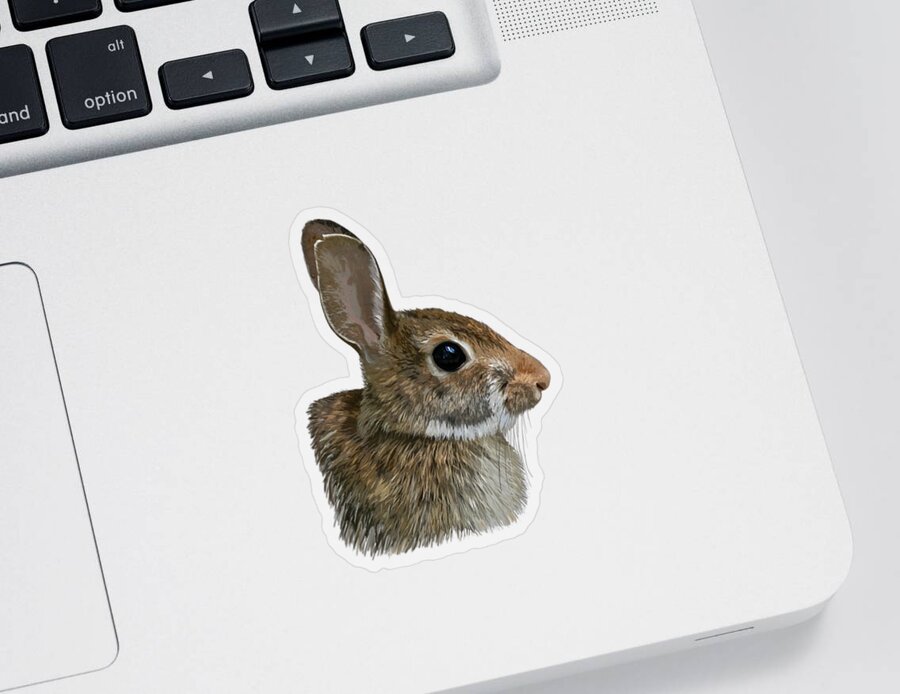 Rabbit Sticker featuring the mixed media Rabbit by Judy Cuddehe