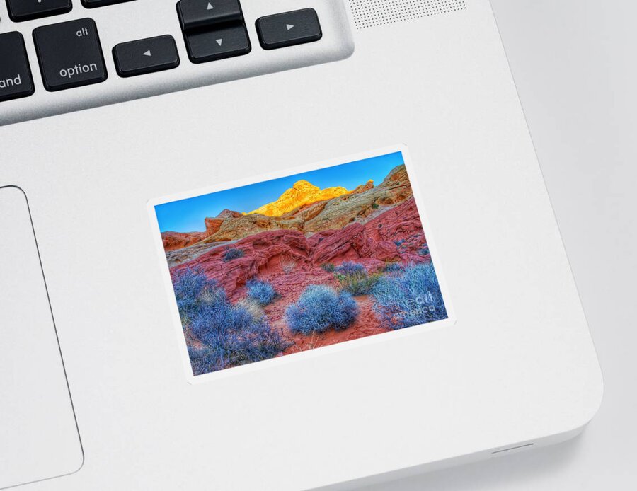  Sticker featuring the photograph Rainbow Sherbet by Rodney Lee Williams