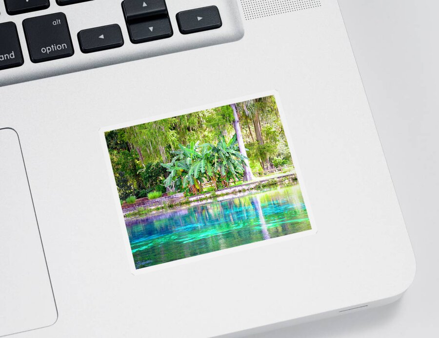 Rainbow Springs Sticker featuring the photograph Rainbow Springs State Pk. by Alison Belsan Horton