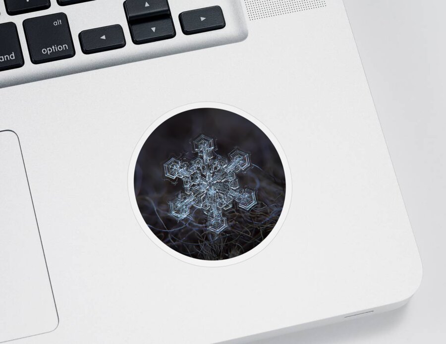 Snowflake Sticker featuring the photograph Real snowflake 2013-01-21_1 by Alexey Kljatov