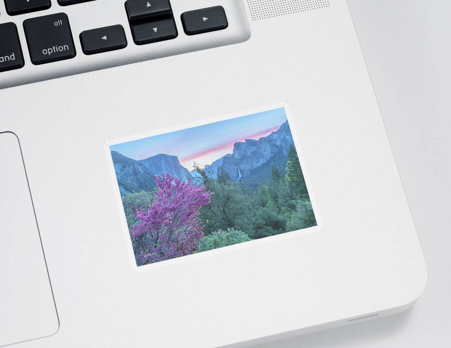 Yosemite Sticker featuring the photograph Red Bud, Red Sky by Bill Roberts