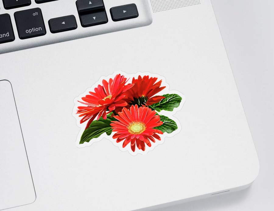 Daisy Sticker featuring the photograph Red Gerbera Daisy Trio by Susan Savad