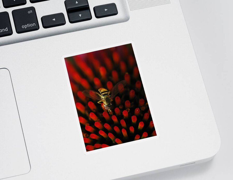 Hoverfly Sticker featuring the photograph Red Hot Hover Fly by Lens Art Photography By Larry Trager