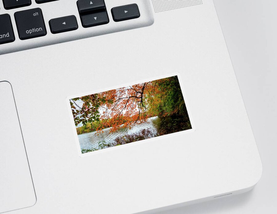 Carolina Sticker featuring the photograph Red Maple Trees at the Lake Indian Boundary by Debra and Dave Vanderlaan