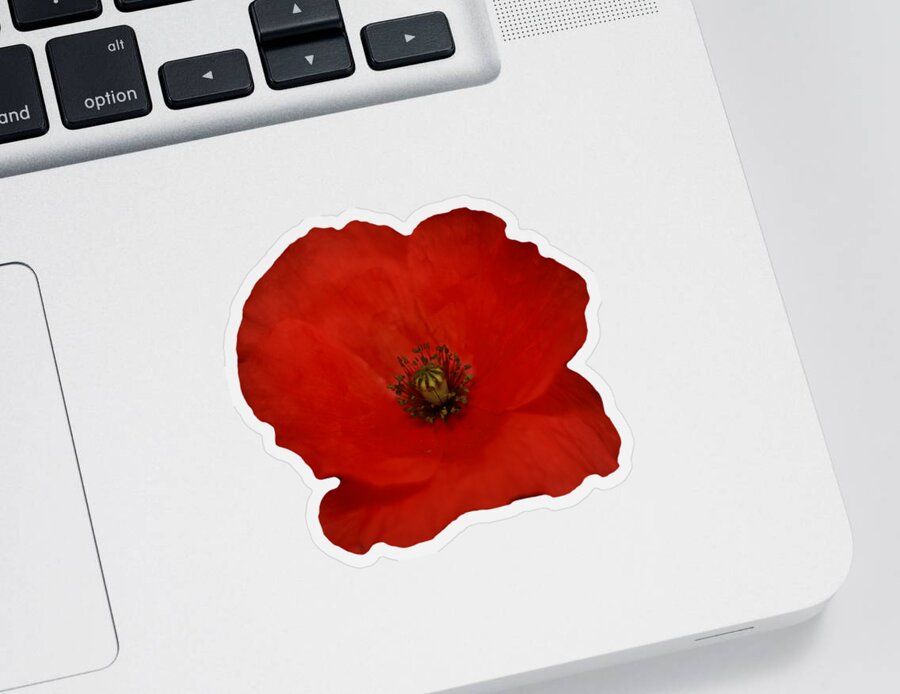 Poppy Sticker featuring the photograph Red Poppy Flower on a transparent background by Terri Waters