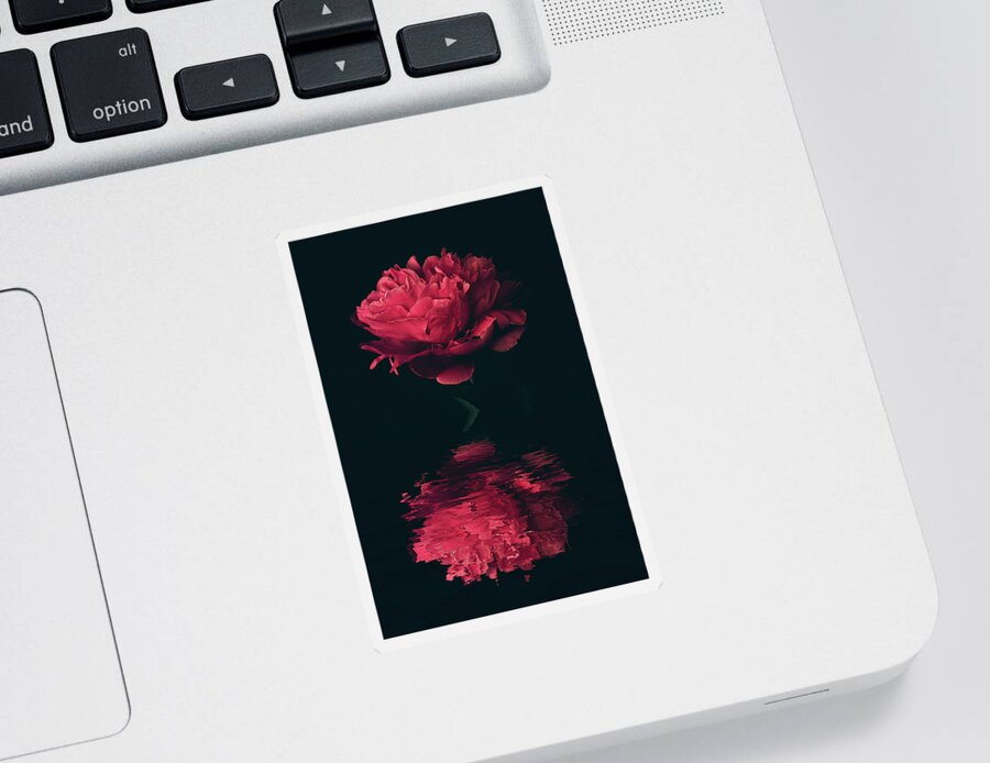 Peony Sticker featuring the photograph Red Reflection by Philippe Sainte-Laudy