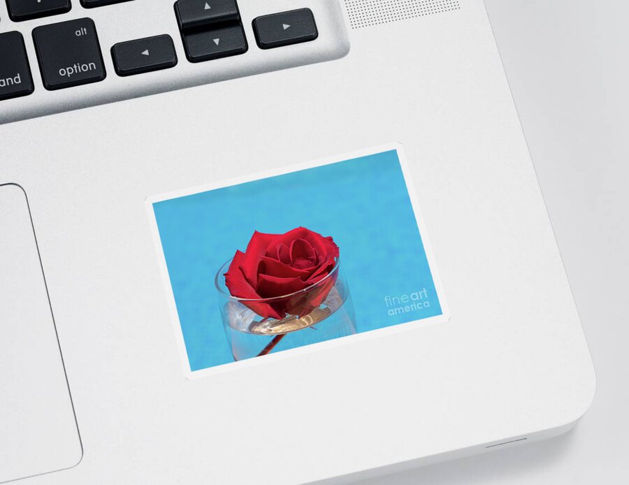 Red Rose Sticker featuring the photograph Red rose and blue water by Adriana Mueller