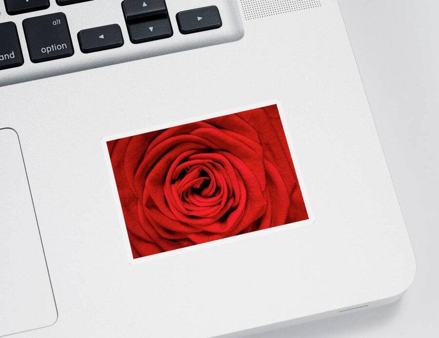 Red Sticker featuring the photograph Red Rose by MPhotographer