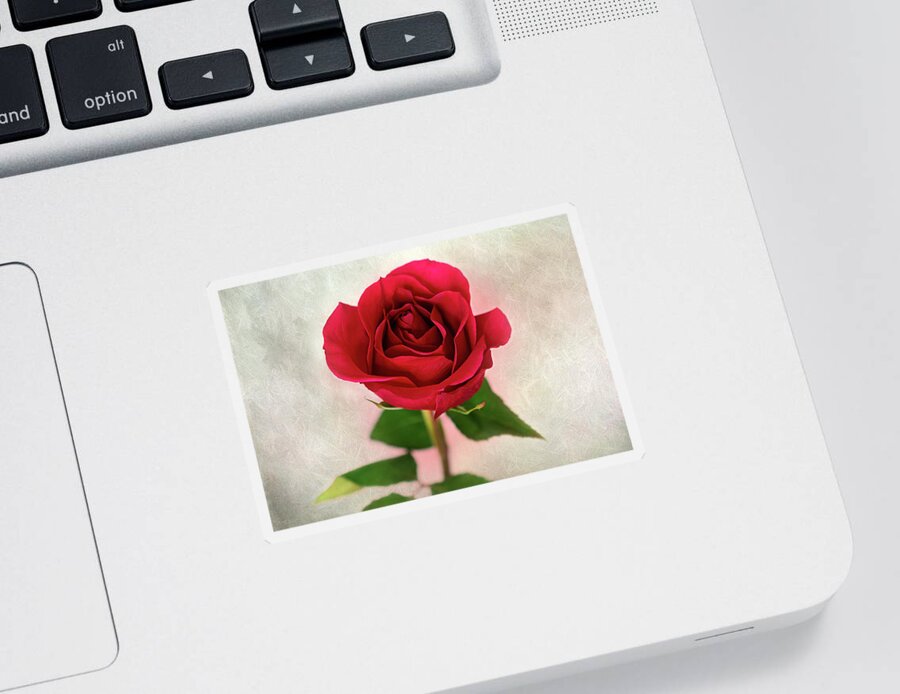 Red Rose Sticker featuring the photograph Red Rose Single Stem Print by Gwen Gibson