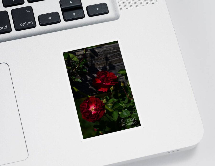 Roses Sticker featuring the digital art Red Roses by Yenni Harrison