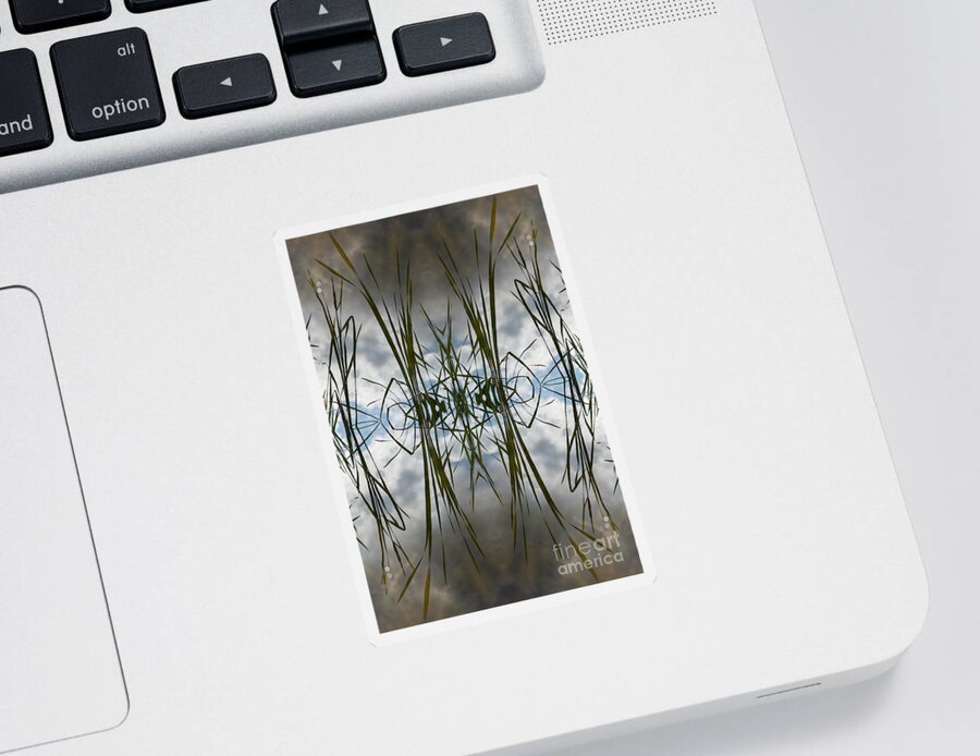 Reed Sticker featuring the digital art Reed leaves, water and symmetry 2 by Adriana Mueller
