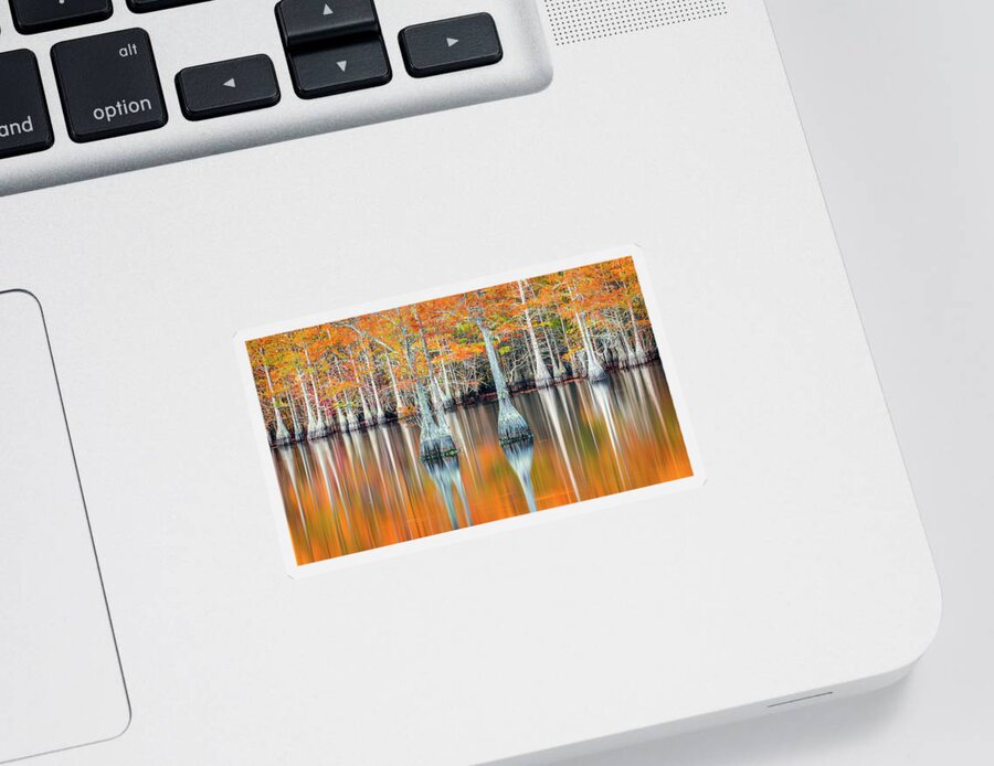 Reflections Sticker featuring the photograph Reflections by Kevin McClish