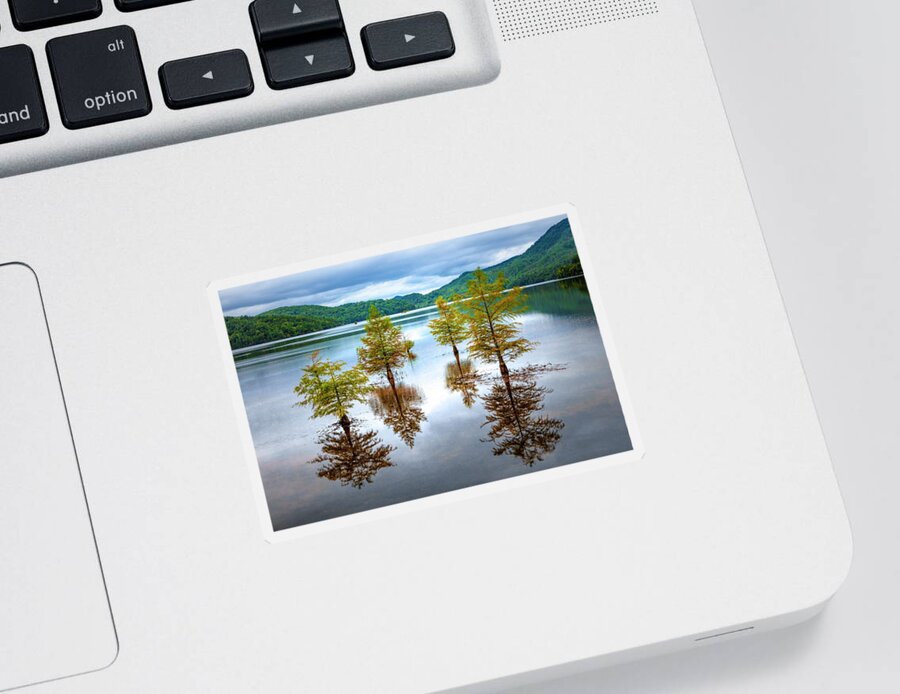 Benton Sticker featuring the photograph Reflections of Trees by Debra and Dave Vanderlaan