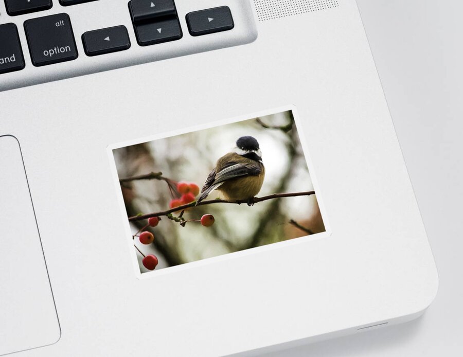 Nature Sticker featuring the photograph Relationships Are Like Birds by Jordan Blackstone