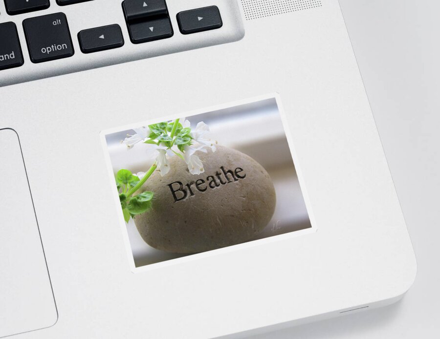 Stones Sticker featuring the photograph Remember to Breathe by D Lee