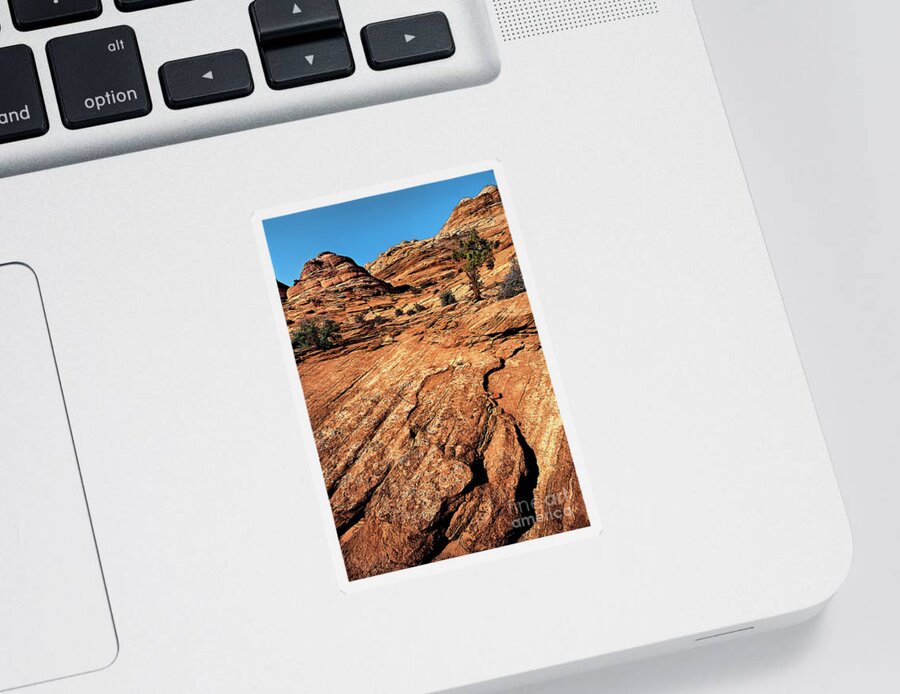 Dave Welling Sticker featuring the photograph Remote Sandstone Formations Paria Canyon Utah by Dave Welling