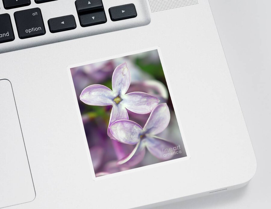 Lilac Sticker featuring the photograph Renewal by Kerri Farley