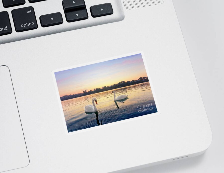 Restronguet Sticker featuring the photograph Restronguet Swans at Sunrise by Terri Waters