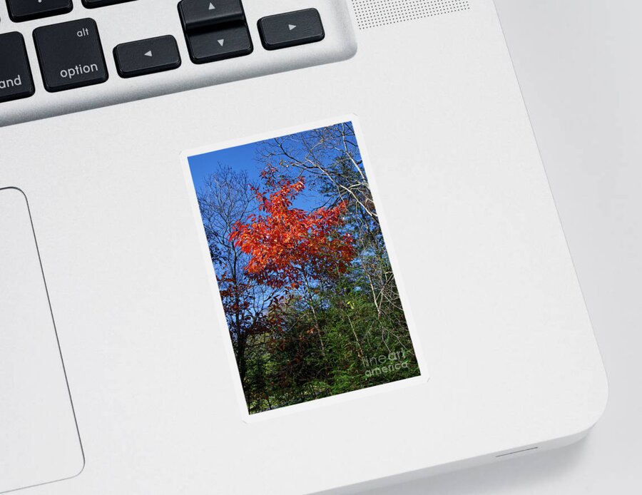 Autumn Sticker featuring the photograph Return to Autumn by Phil Perkins