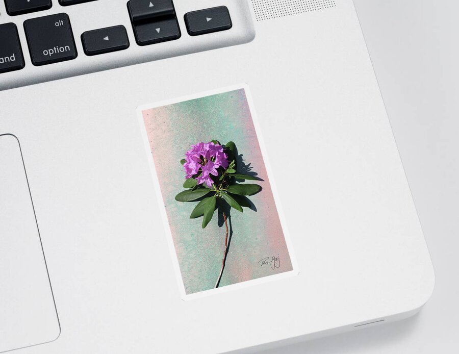 Rhododendron Sticker featuring the photograph Rhododendron by Paul Gaj
