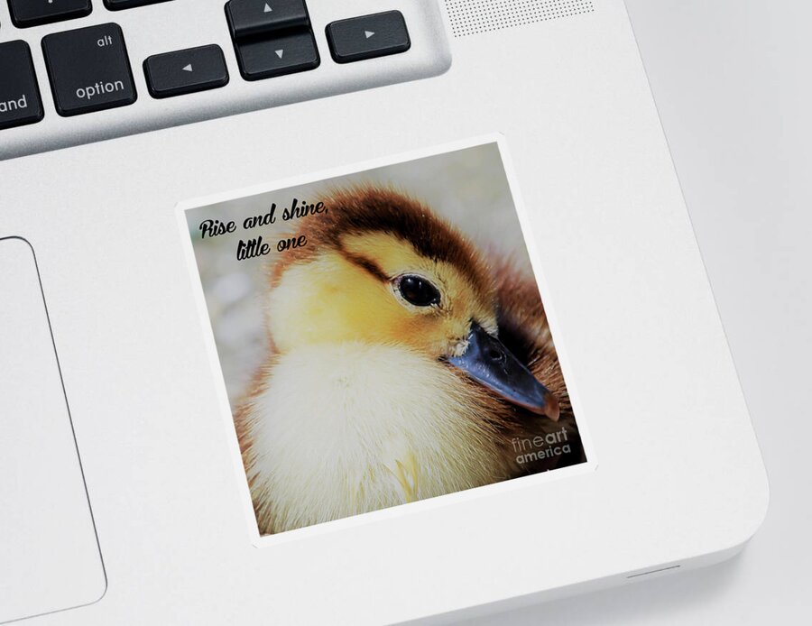 Duckling Sticker featuring the photograph Rise and shine, little one by Joanne Carey
