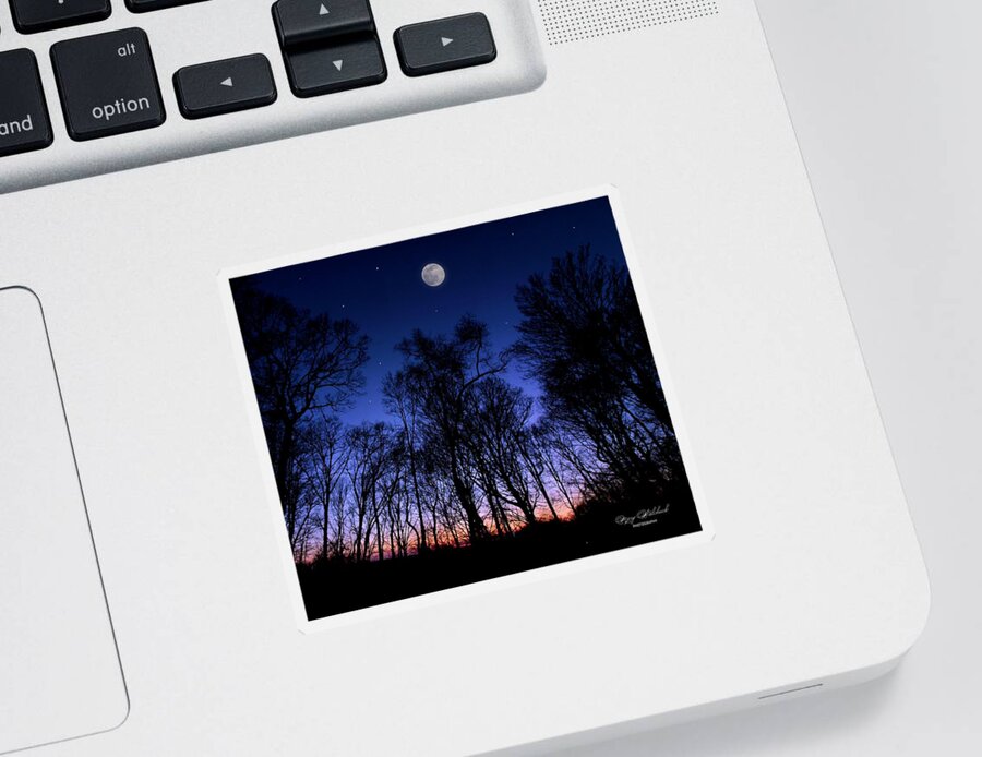 Nature Sticker featuring the photograph Rising Moon by Mary Walchuck