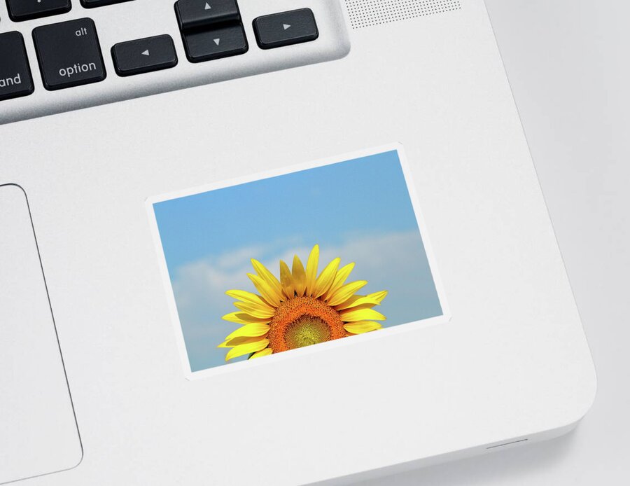 Sunflower Sticker featuring the photograph Rising Sun by Lens Art Photography By Larry Trager
