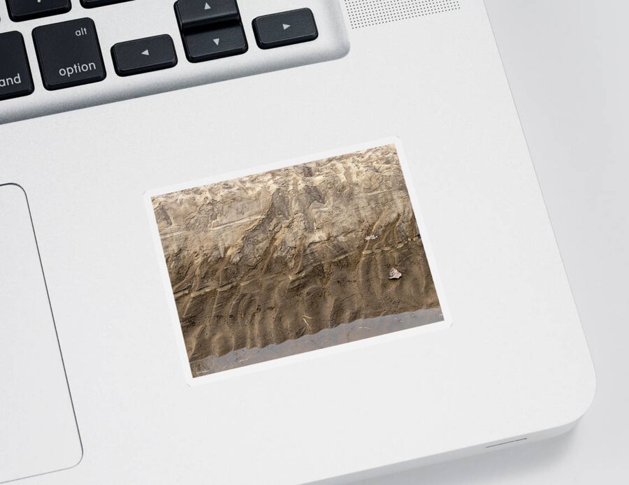 #naturephotography Sticker featuring the photograph Riverbank Detail 2 by Mark Berman