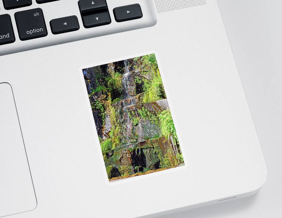 Waterfall Sticker featuring the photograph Roadside Waterfall. Mount Rainier National Park by Connie Fox