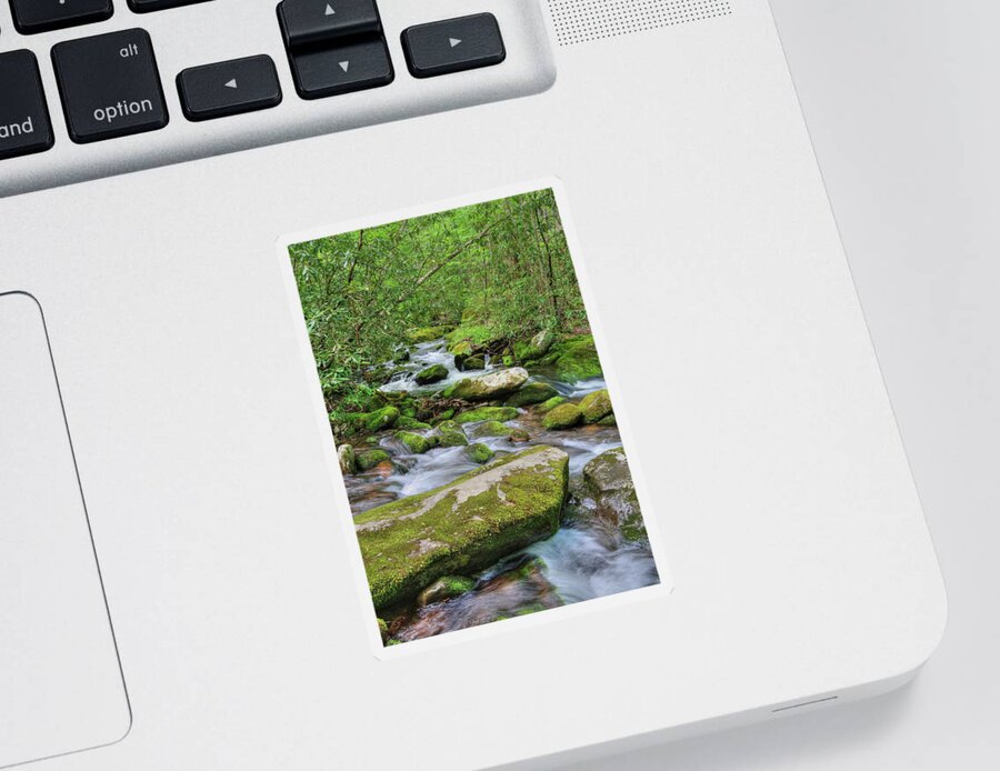 Stream Sticker featuring the photograph Roaring Fork by Randall Dill