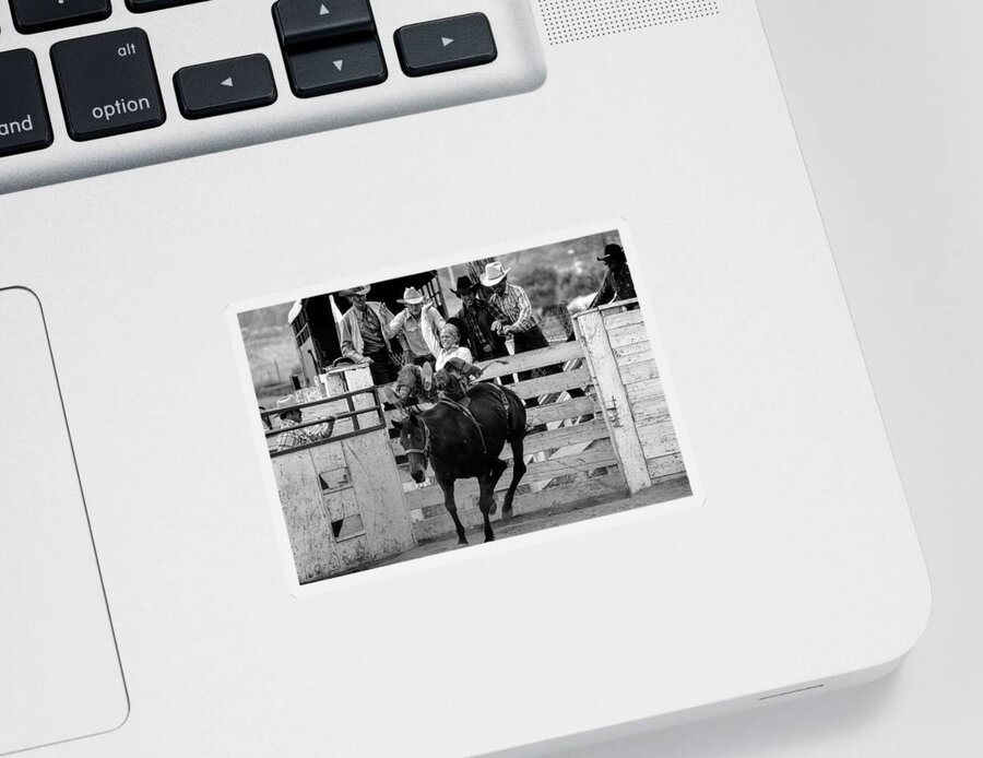 Rodeo Sticker featuring the photograph Rodeo by Harry Spitz