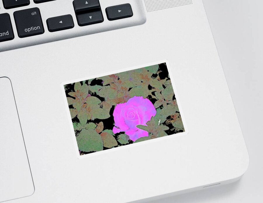 Floral Sticker featuring the photograph Rose 97 by Pamela Cooper