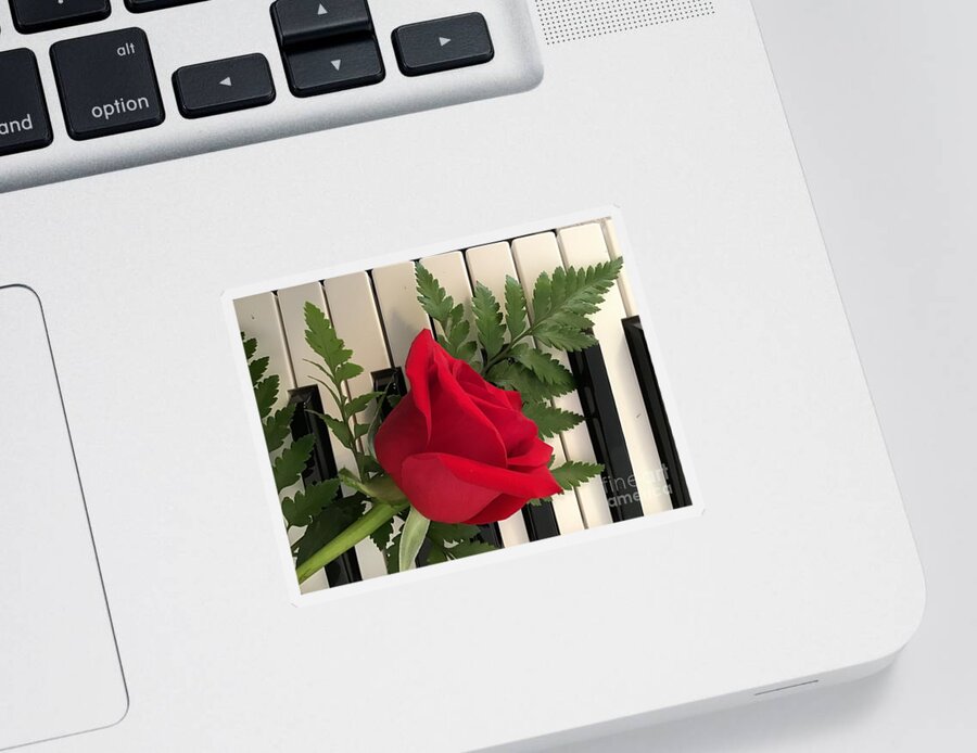 Rose Sticker featuring the photograph Rose and Keyboard featured by Catherine Wilson