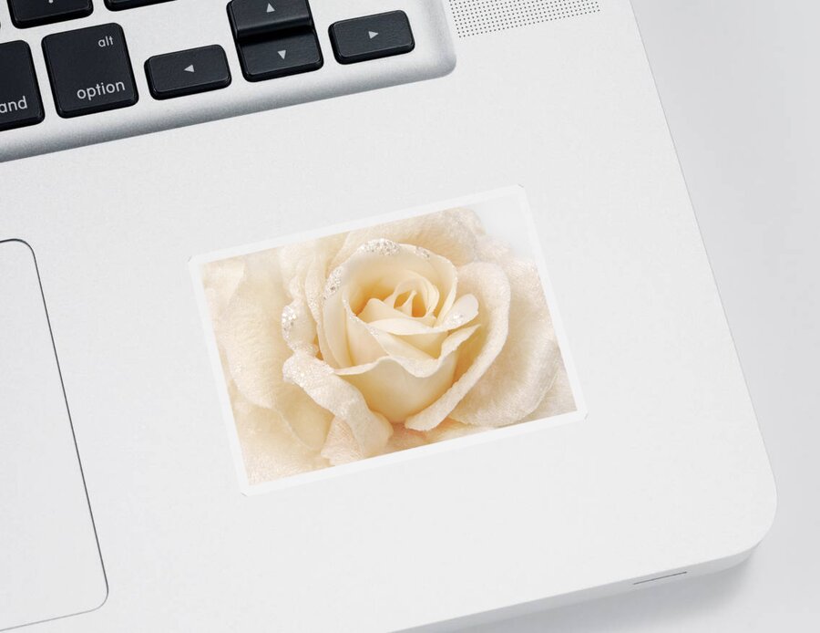 Rose Sticker featuring the photograph Rose Fabric Beige Texture by Severija Kirilovaite