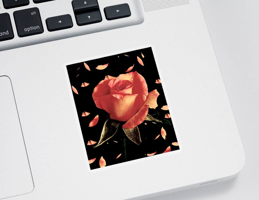 Rose Sticker featuring the photograph Rose Petals by Dani McEvoy