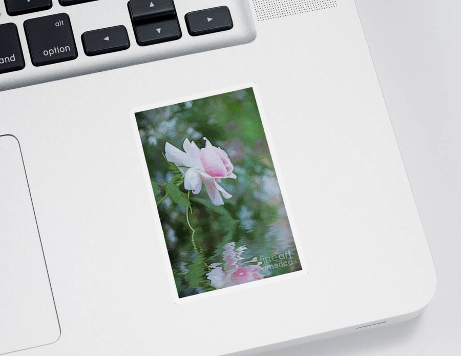 Floral Sticker featuring the photograph Rose Reflection by Elaine Teague