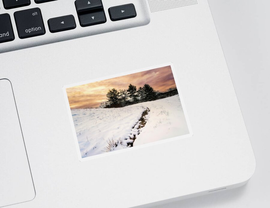 Winter Morning Sticker featuring the photograph Rubchinuk Park Morning by Michael Hubley
