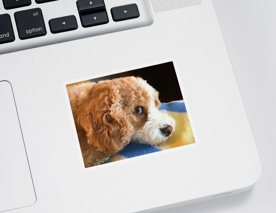 Dog Sticker featuring the photograph Ruby the cutest dog ever by Tatiana Travelways