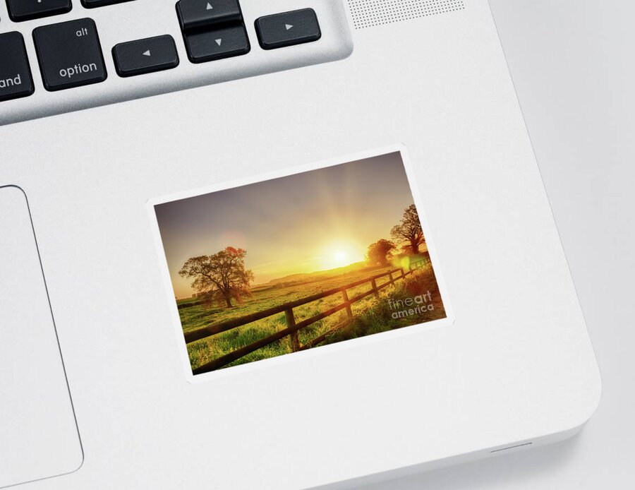 Britain Sticker featuring the photograph Rural sunrise over fenced field by Simon Bratt