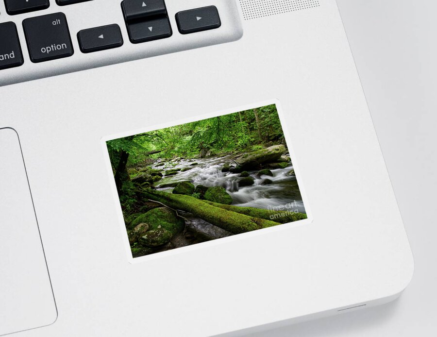Middle Prong Little River Sticker featuring the photograph Rustic Wooden Bridge 2 by Phil Perkins