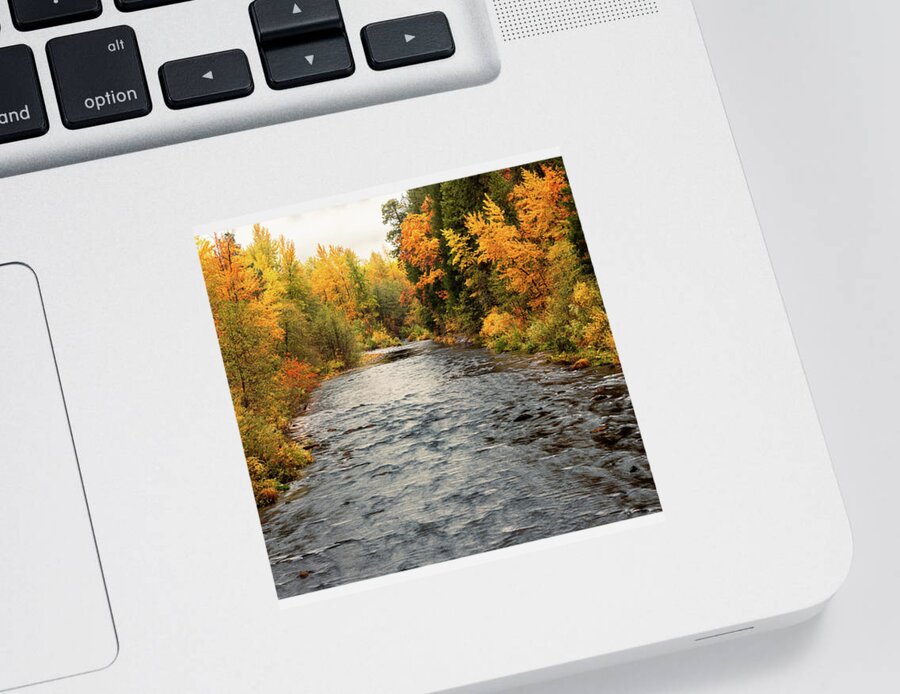 Bridge Sticker featuring the photograph Sacramento River Fall Colors by Mike Lee