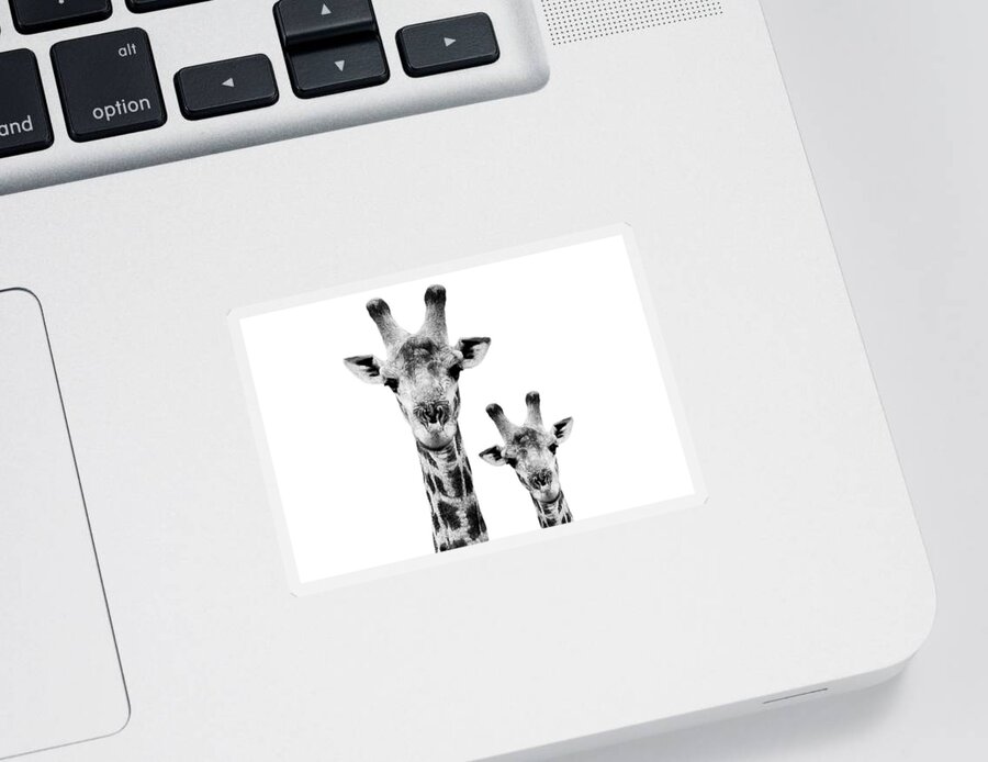 Wild Animals Sticker featuring the photograph Safari Profile Collection - Portrait of Giraffe and Baby White Edition I I I by Philippe HUGONNARD