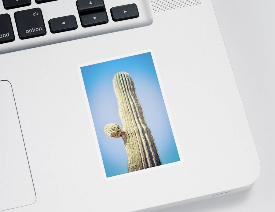 Atmospheric Sticker featuring the photograph Saguaro with Starter Arm by Jennifer Wright