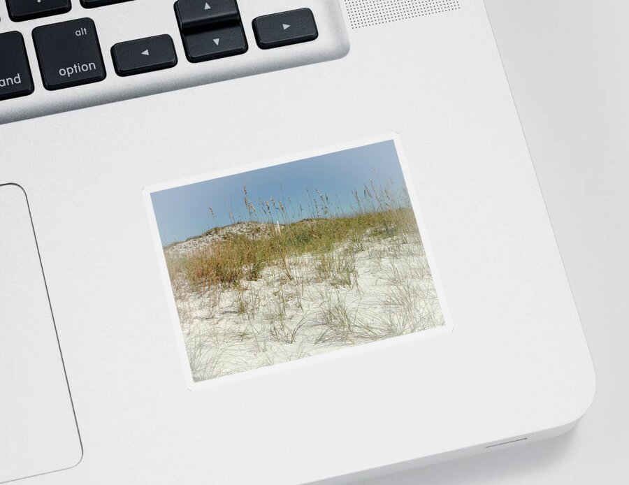 Sand Sticker featuring the photograph Sand and Sea Oats by Judy Hall-Folde